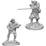 (image for) Nolzur's Marvelous Miniatures: Human Bard (Male)